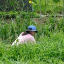 텃밭협동조합 이미지