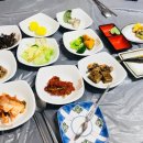 왕돌과메기 네이버블로그