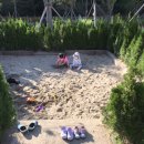 항동 푸른수목원 유아놀이터 네이버블로그