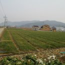 월봉축사 이미지