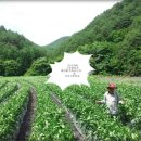 찬숙이네 이미지