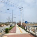 성환천 억새길 이미지