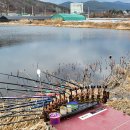 칠곡천 티스토리