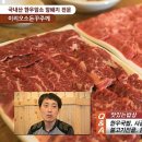 중앙한우암소
