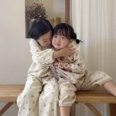 주식회사 리을