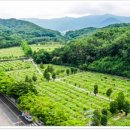 영락공원 이미지