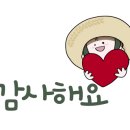 세무법인이담