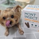 수지덴탈 | 노견 양치껌 몬트인섹트 강아지 덴탈껌으로 좋아요