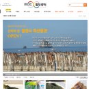 울릉도며느리
