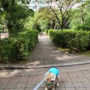 유니롯데공인중개사사무소 이미지