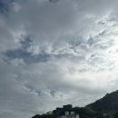 핑크섬 민박 | [이수도 시방항 여객선 터미널] 이수도1박3식 배편 정리 내돈내산