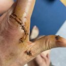 2023년 인천 논현동 이은총씨 스토킹 보복 살인 사건 이미지