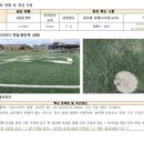 횡성고등학교 | 횡성고등학교 인조잔디 유지관리 후기