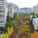 목동동로1길 이미지