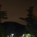 유준상사 네이버블로그
