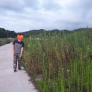 베리팜 펜션 이미지