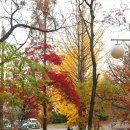 (주)제이인터렉티브 | 제이버드 블루투스 이어폰 런칭쇼에 다녀오다~