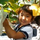 수희농장 이미지