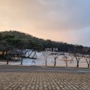 추사고택 월성위 묘앞 이미지