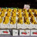 유정농장 이미지