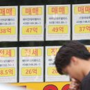 광장공인중개사사무소 이미지