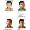 티그레스튜디오