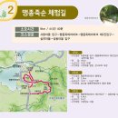 맹종죽순체험길 | 섬&amp;섬길 칠천량 해전길, 맹종죽순 체험길