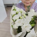 블룸메르시플라워 | 부천 상동 꽃집 블룸메르시플라워 | 생일 기념일 꽃다발 선물하기 좋은 곳