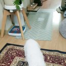 에코사료 이미지