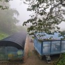 산속의 아침 이미지