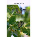영진 피앤피