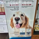 24시 모란동물 메디컬센터 이미지