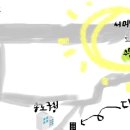폴바셋서머셋