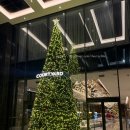 한   강 | 베트남 호텔 코트야드 메리어트 한 강 리버뷰 내돈내산 후기