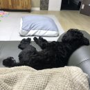 유성지업사 이미지