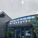 제주해양동물박물관 | 아이와 함께 즐긴 서귀포 제주해양동물박물관 후기_아이랑 제주 실내 가볼 만한 곳 추천!