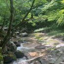 방태산 등산코스 (방태산자연휴양림 ~ 주억봉 ~ 원점회귀) 등산 후기