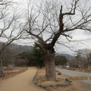 운문사정류장 이미지