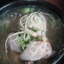 서성산삼 한방삼계탕 | 가평 설악 맛집 진솔산양산삼삼계탕 몸에 좋은 한방 백숙