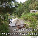 ㈜ 오토돔 서비스 | 성주 풀꽃이랑 캠핑장 후기 | 초보 캠퍼를 위한 오크돔 글램핑형 감성 캠핑