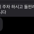 돌핀수상레저 이미지