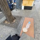 대한희망물류 | [중견 물류 기업 면접 후기] 포워딩 OP 최종 합격 후기