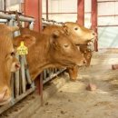 현주슈퍼 이미지