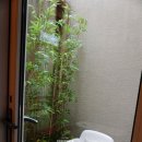 가평듀크하우스키즈가족펜션 | 가평 아이랑 여행 펜션/숙소 - 가평 듀크하우스 키즈 가족 펜션 오렌지2, 아이와 함께 하기 좋은 가평...