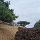 배고개(이치) 이미지