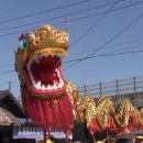황룡 이미지