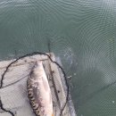 신애낚시터 이미지