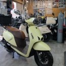 욜로모터스 이미지