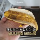 제로 웨스트 커피 찌꺼기 비료 만들기 | 바나나껍질 음식물쓰레기? 음쓰처리기에 버리는법