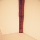 당나귀숲 이미지